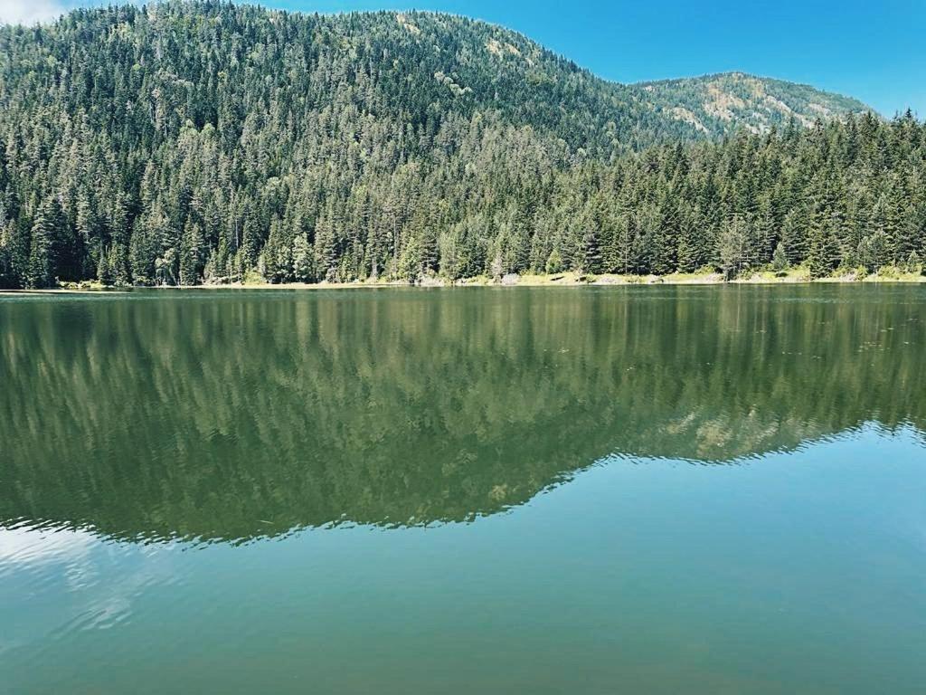 Zminica Lake House Жабляк Екстер'єр фото